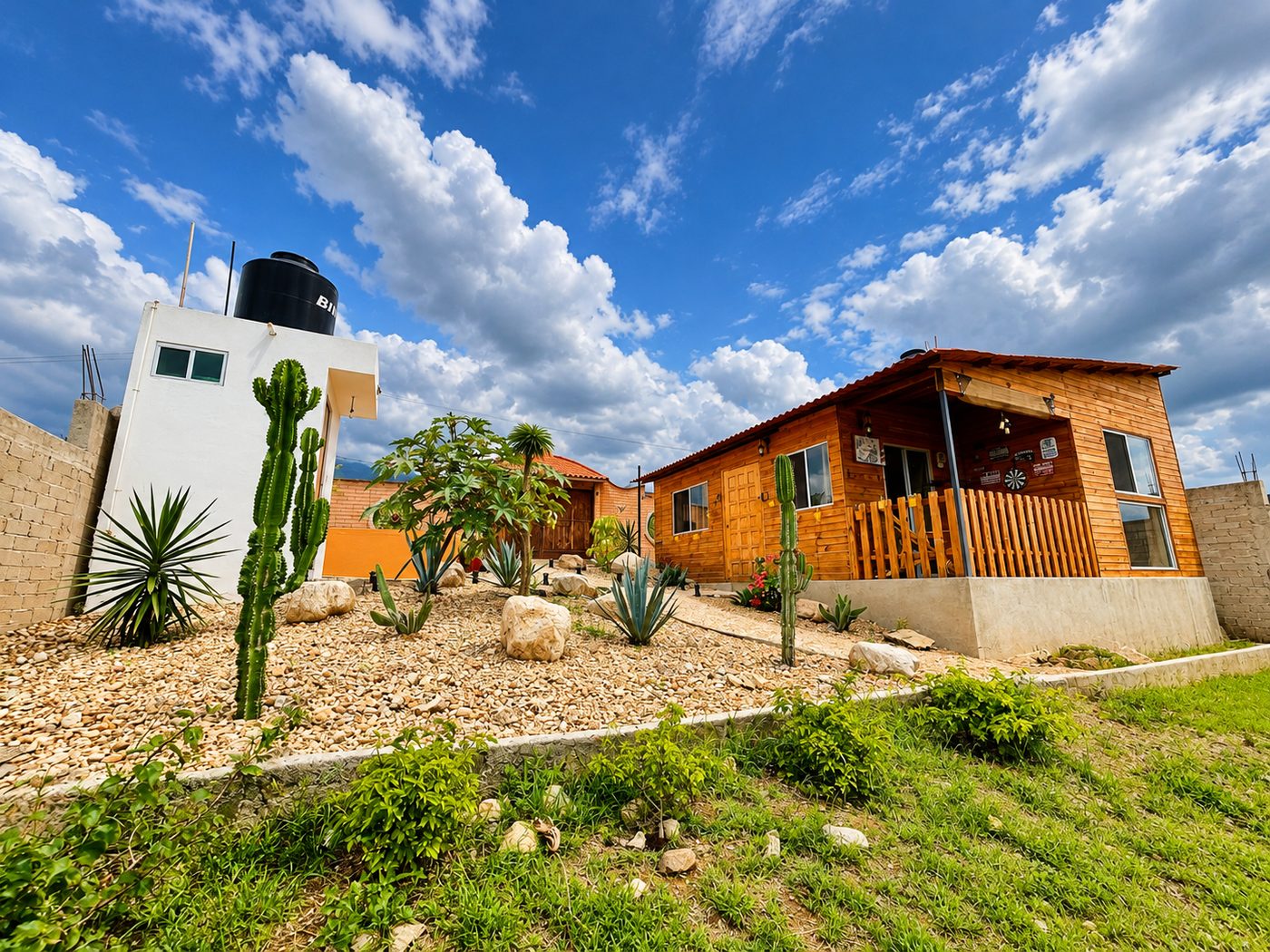 Cabaña de madera con jardín de cactáceas